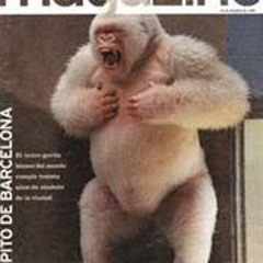 Velorio - Chistes Guatemaltecos - [Bajado en wWw.FullRemix.Biz]