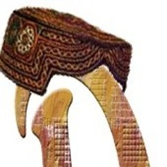 Daharkiweb