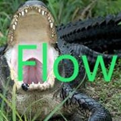 Alligator Flow