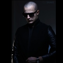 DJ Snake /