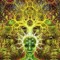 -UBIK-