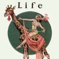 charlotte van wemmel