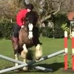 Elizabeth McKenzie 5