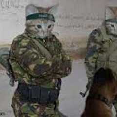 Pier Paolo Carluccini