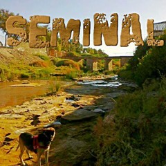 Seminal-Calama