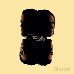 ThePolarShift