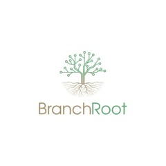 Branch Root Recordings