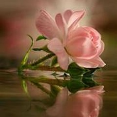 الرقيه الشرعيه للتحصين بالتكرارات roqua shar3ia