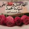 mohamad-makawy