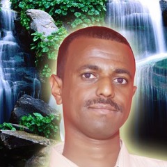 Tarig M Abualhassan
