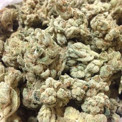 dankmankief