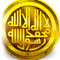 ASER ELZELAKY