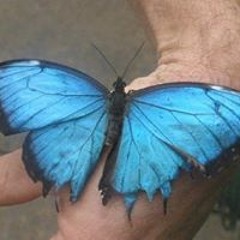 Brittney Bruin-Baker