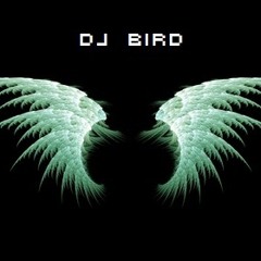 DJ-Bird-488
