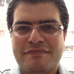 Wael Samir