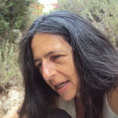 Ori Aveni
