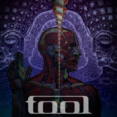 Arizona Bay, Tool Tribute