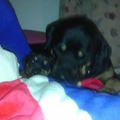 John Michael Anderson 2