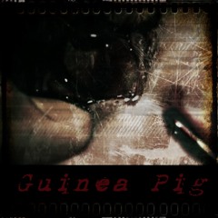 Guinea Pig (Official)