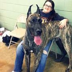 Atleigh Renee Whitman