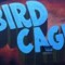 Bird Cage 1