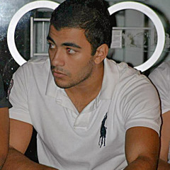 Hassan Abdel Moneim Sakr