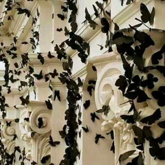 Melissa Barenbrugge 1