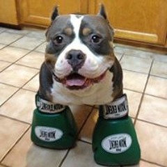 Rock Playlist