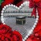 yousfi farida