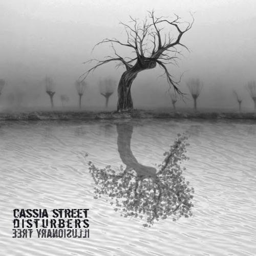 Cassia Street Disturbers’s avatar