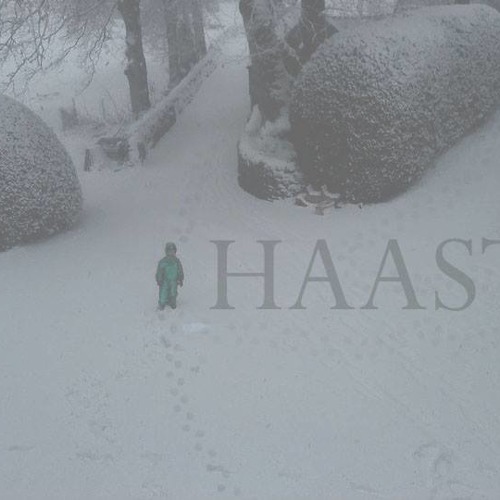 HAAST’s avatar