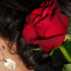 ЈУГОСЛОВЕНСКА РОК МУЗИКА (ЕX-YU ROCK)