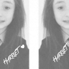 haz247651863