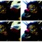 CakedUpZI