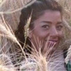 Zeinab_Amiri