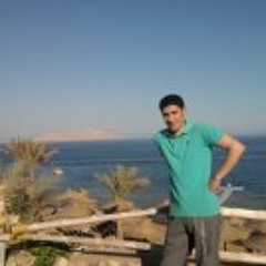 Muhamed Sabry 7