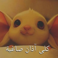 Kąmẵr Ẫl SeŋöṨï