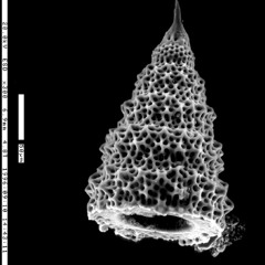 Red Marines Main Stage (June 22, 2012)