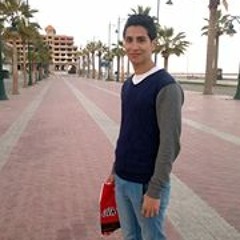 Amr Mohamed Ghoneim