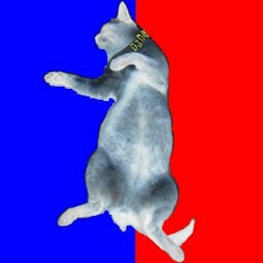 Draft EG101 need bass