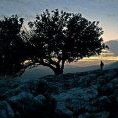 Sarah Elisheva Jaffee