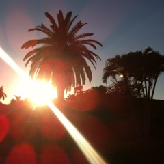 Alex Pichon (Dj Fredo)