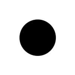 Honest Charley Bodkin