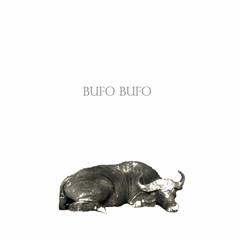 BUFÓ-BUFÓ EP.