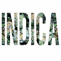acidnI9ht