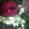 amani_hassan