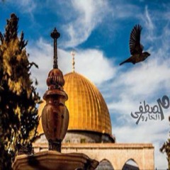 Baraa' khaleel