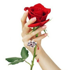 user784624407