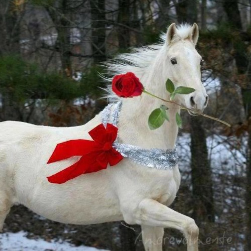 Stream episode ‎⁨وَاصْبِرْ نَفْسَكَ مَعَ الَّذِينَ يَدْعُونَ رَبَّهُم  بِالْغَدَاةِ وَالْعَشِيِّ - للشيخ محمد عبد الهادي توري_mp4⁩.mp3 by enas m  podcast | Listen online for free on SoundCloud