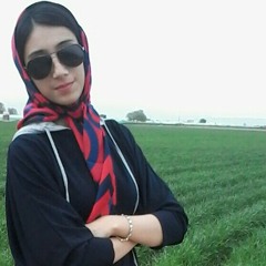 Zzz D Bazi